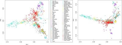 Genetic substructure of Guizhou Tai-Kadai-speaking people inferred from genome-wide single nucleotide polymorphisms data